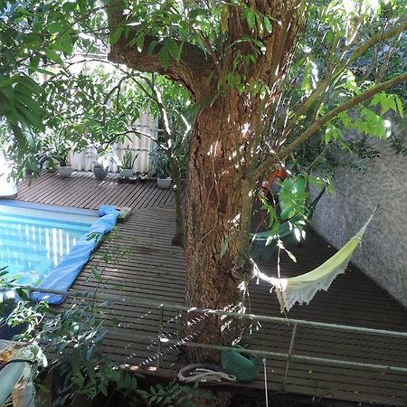 B&B Vitoria Regia Rio de Janeiro Eksteriør billede