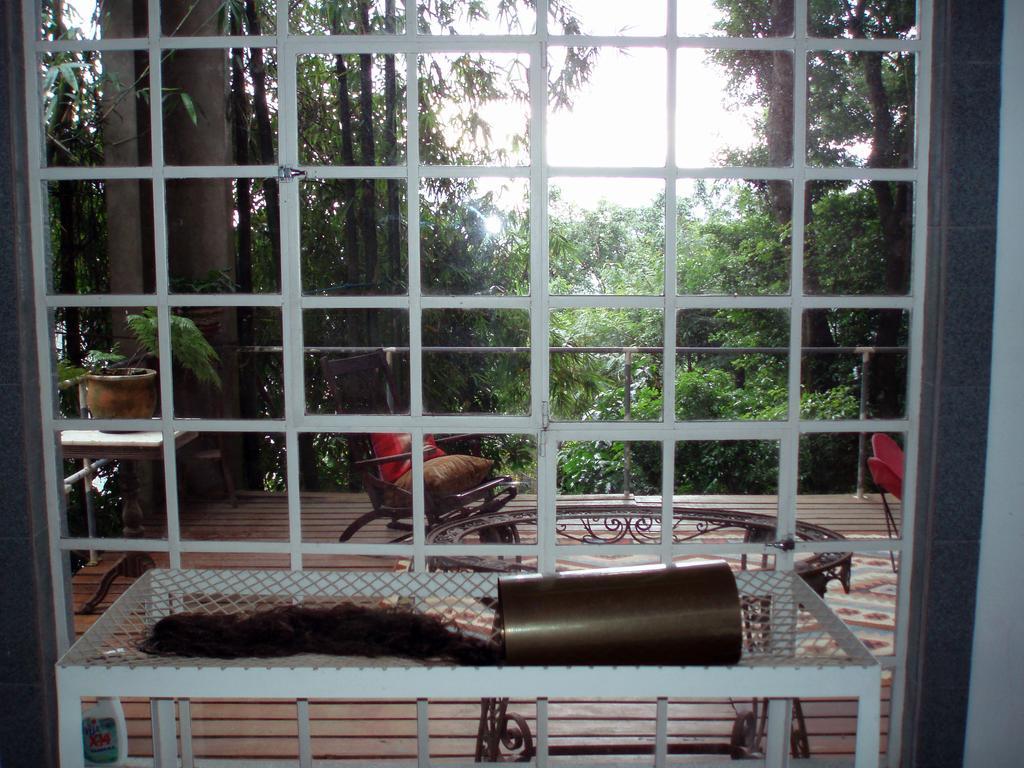 B&B Vitoria Regia Rio de Janeiro Værelse billede