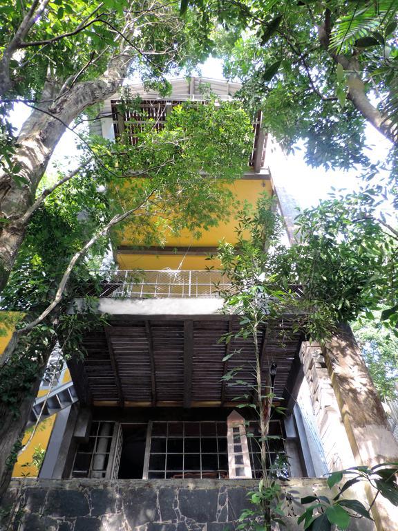 B&B Vitoria Regia Rio de Janeiro Eksteriør billede
